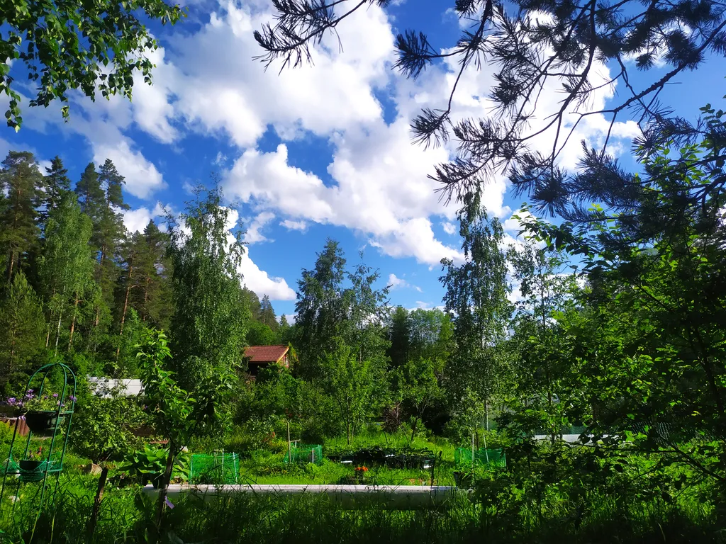 Домик на Карельском перешейке