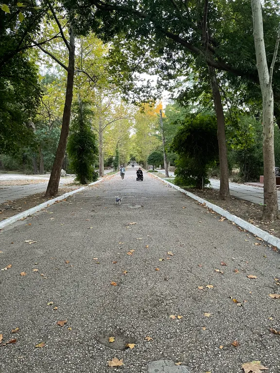 Квартира в парковой зоне сан Бурденко сан Пирогова