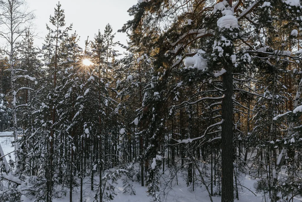 Дом на 11 спальных мест с баней и горячим чаном под открытым небом