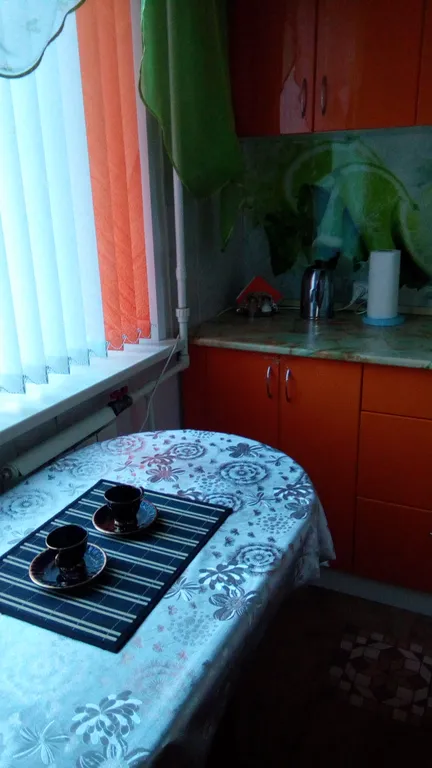 Уютная квартира с красивой панорамой на Знаменитый Борус