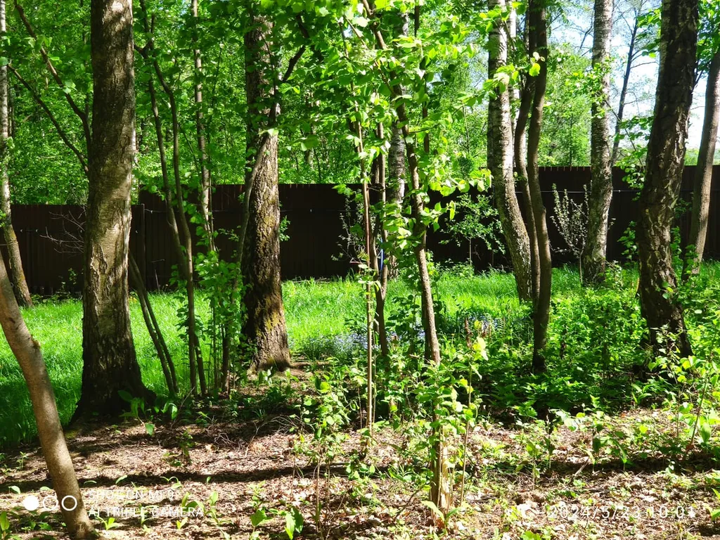 Новый стильный дом, большая лесная территория, недалеко от пруда с пляжем