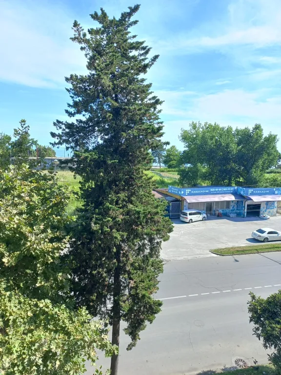 Квартира 1-комнатная квартира с видом на море — Сухум