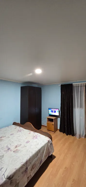 В тени киви