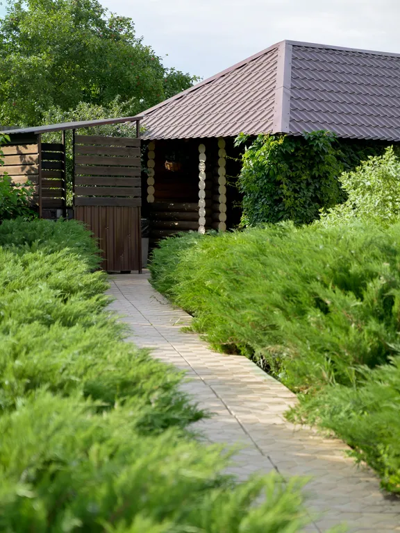 Гуси Лебеди