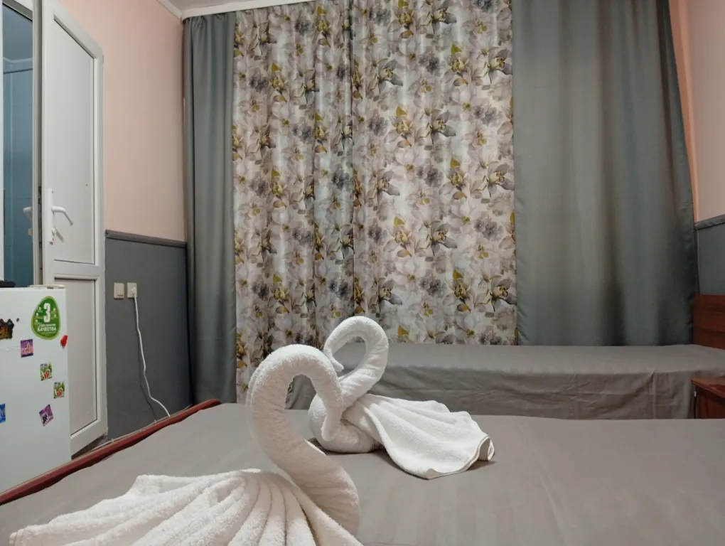 с одной двуспальной или 2 односпальными кроватями и доп спальным мест