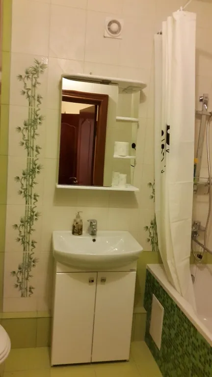 Квартира 1-комнатная Квартира — Светлогорск