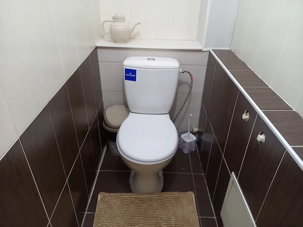 Солнечная орбита