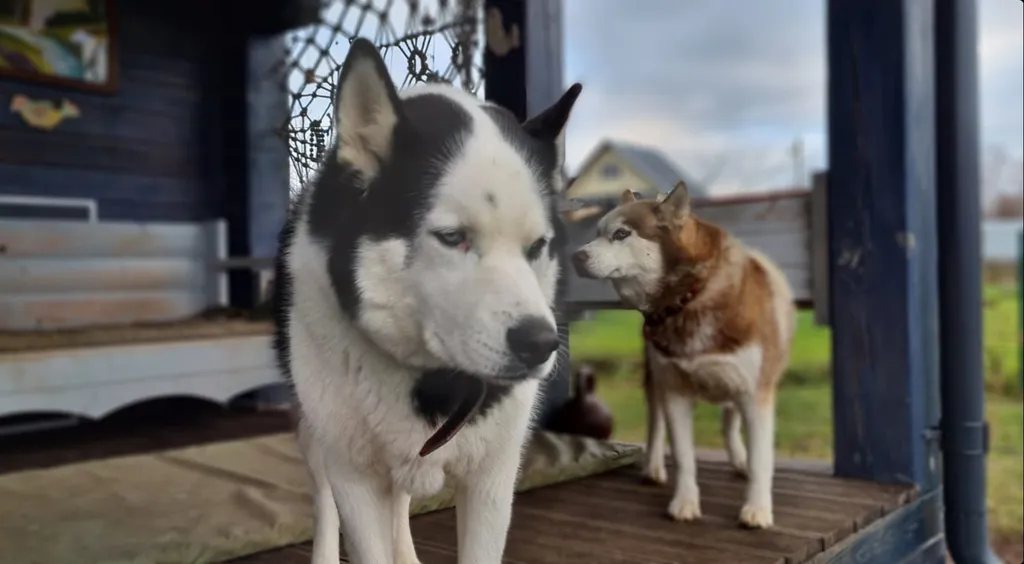 Коттедж Дом в живописном месте рядом с рекой и лесом — Можайск