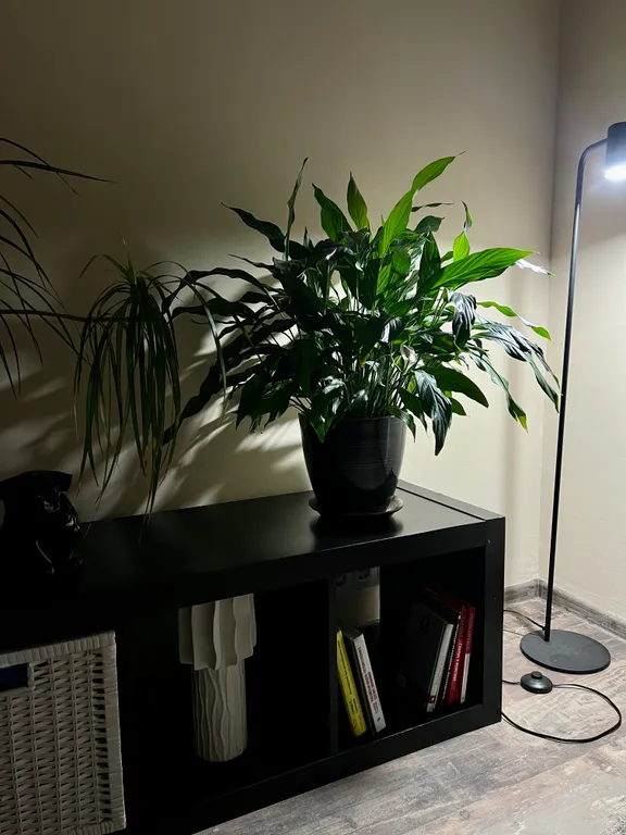 Коттедж Уютный коттедж со всеми удобствами — Янино-1