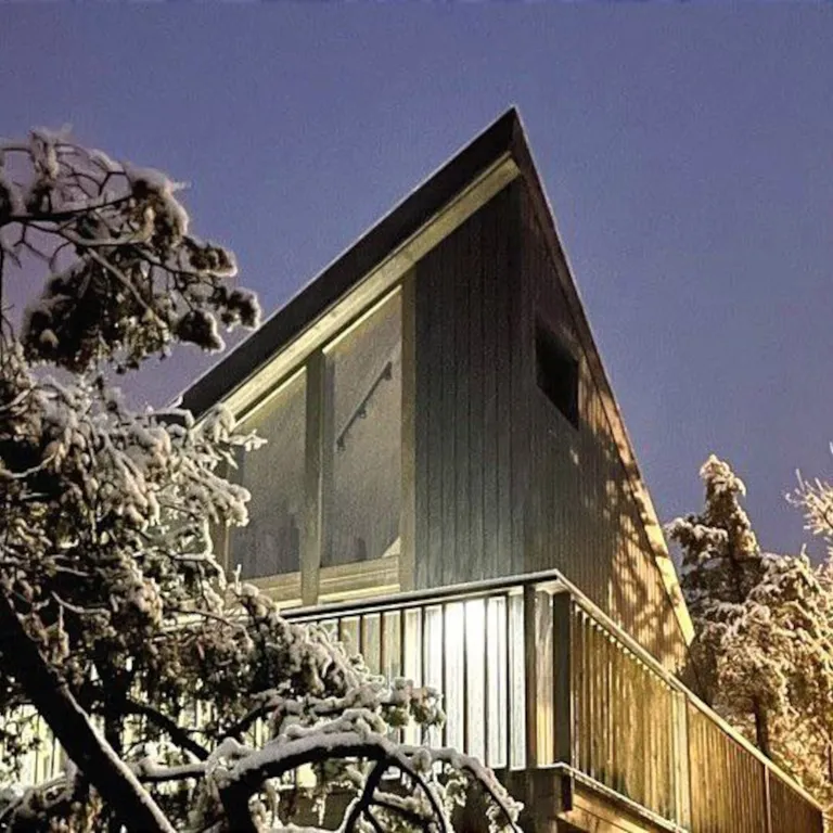 Домик в лесу Шули