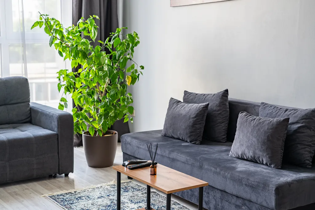 Большая евродвушка в центре