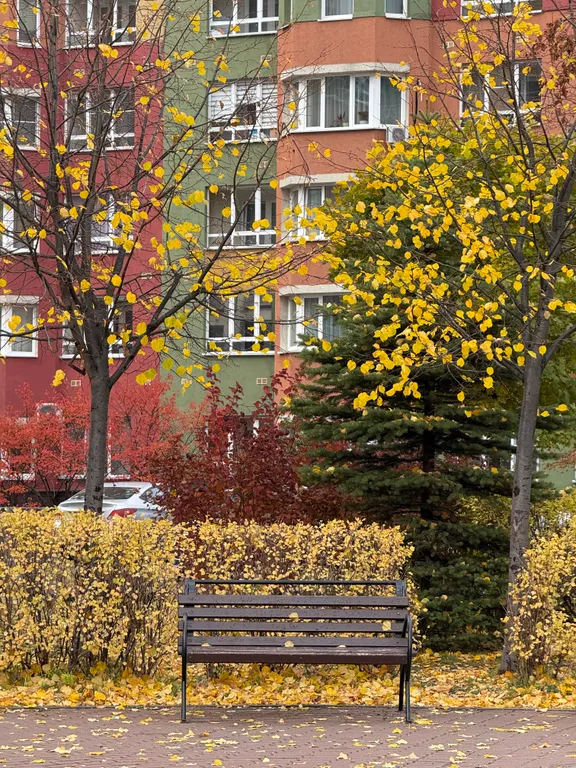 Квартира Уютная квартира с видом на парк — Нижний Новгород