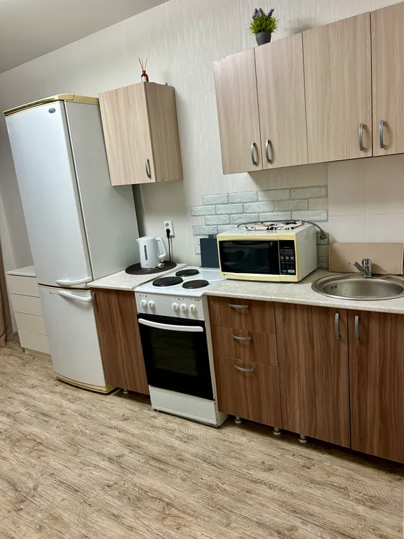 Уютные апартаменты около ТРК Фиеста