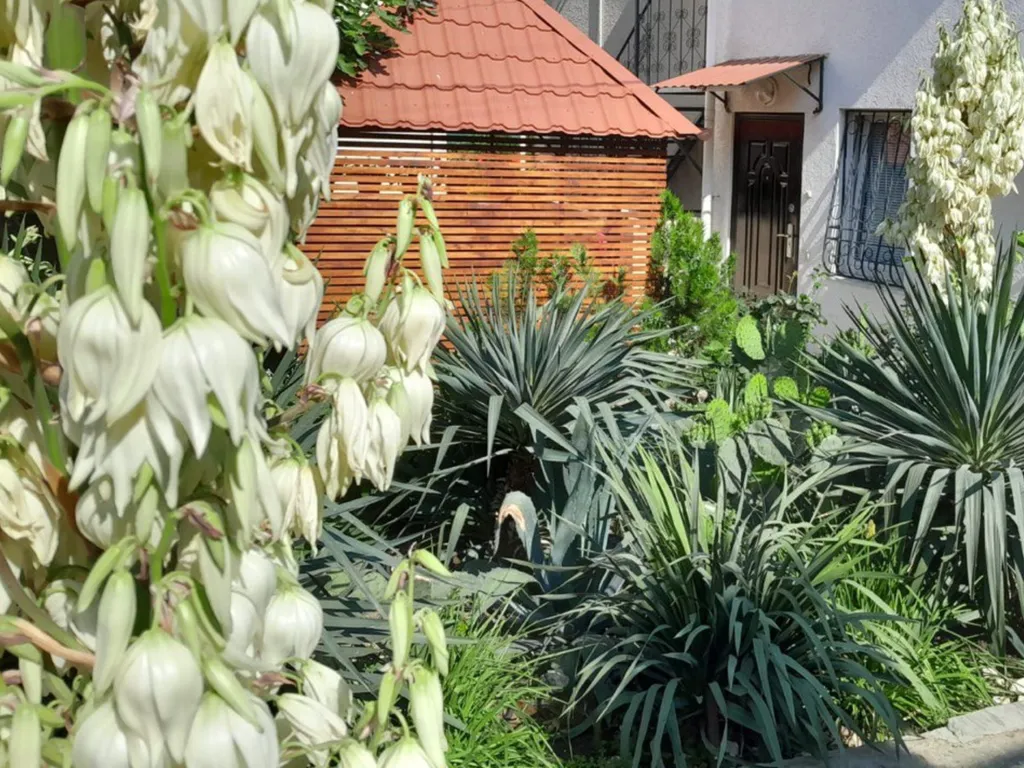 MilayDom-2-х этажный 2-х комнатный дом с вашей придомовой территорией