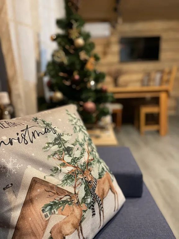 Дом из бревна