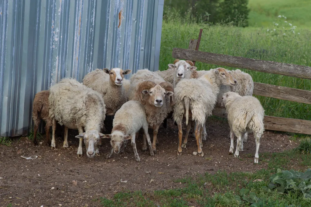 Вилла в Беларуси на озере Мядель