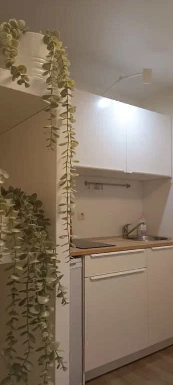 Квартира Квартира Уютное нездышко в экологически чистом районе рядом с метро — Москва