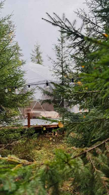 Коттедж Лес — аренда посуточно в Череповец