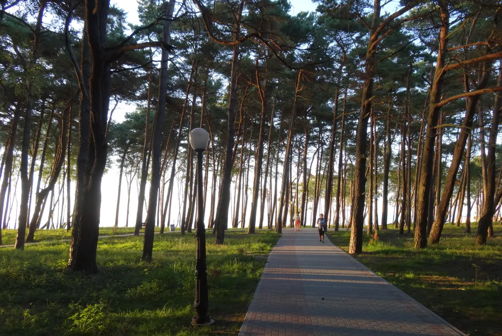 Квартира Квартира Апартамент в парке у моря — Пионерский