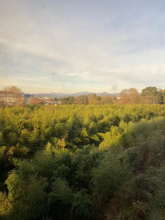 Квартира Квартира Стильная студия на первой береговой. Море всего 5 минут пешком! — Сириус