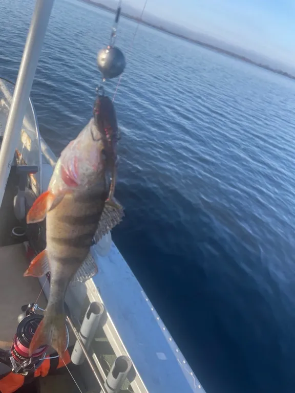 Уютные дома на волге в белогорке - ваш идеальный отдых на природе