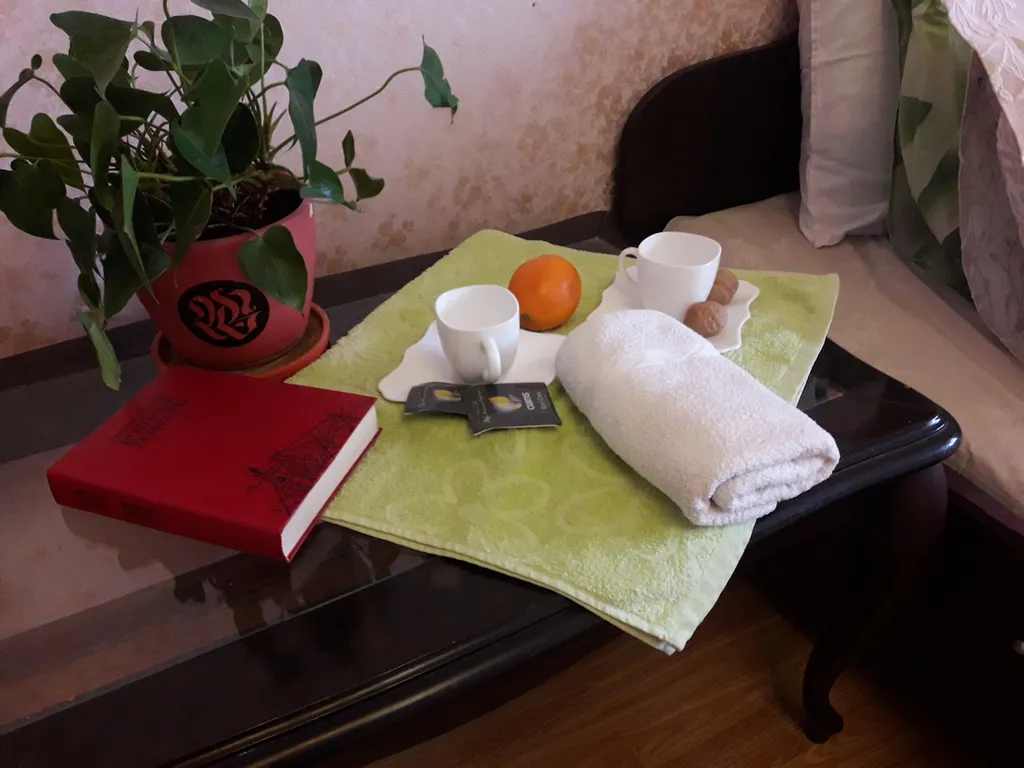 Огромная квартира в центре