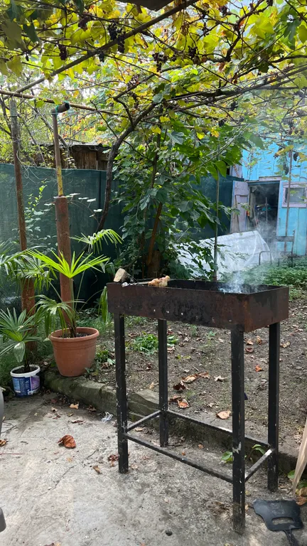 Коттедж Уютный дом с участком 5 соток — Дагомыс