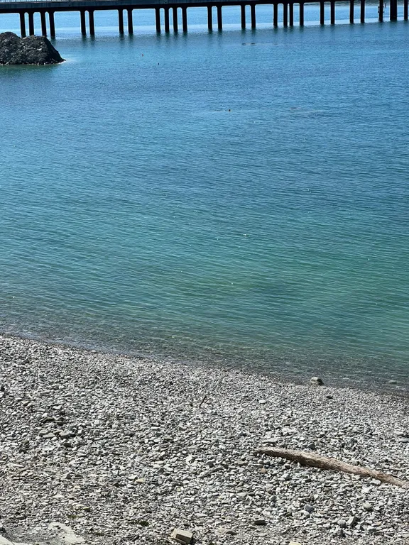 Квартира Комната — Геленджик