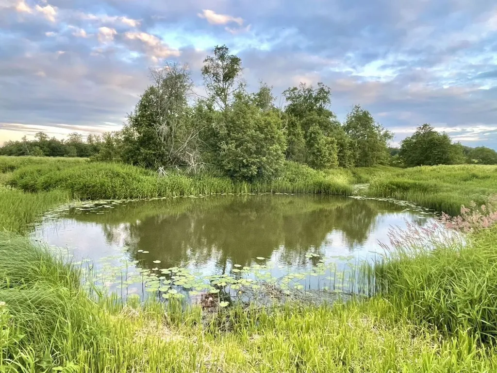 Коттедж 1-комнатный Дом — Шаховская