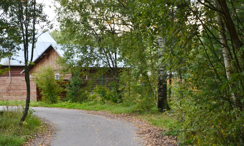 Коттедж Домик на краю леса с комфортом городской квартиры — Шатура