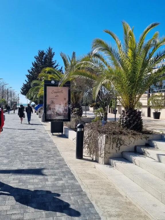 Квартира Квартира Студия Сррренто Парк, парк Южные Культуры — Сочи