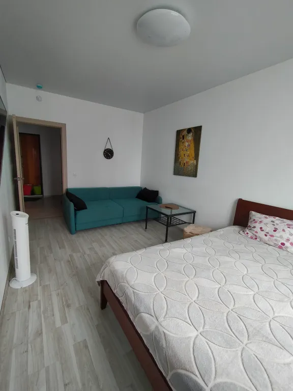 Квартира Просторная однокомнатная квартира — Екатеринбург