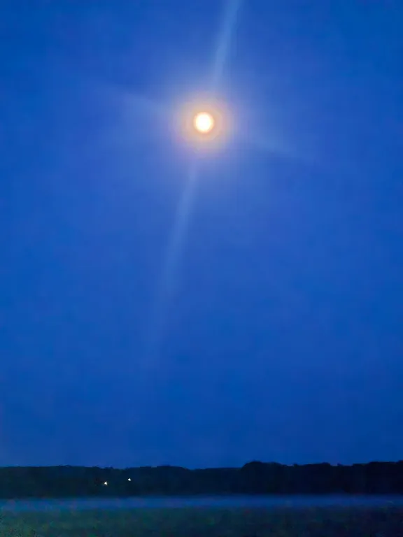 Эко - дом в лесу в гостях у Миродары