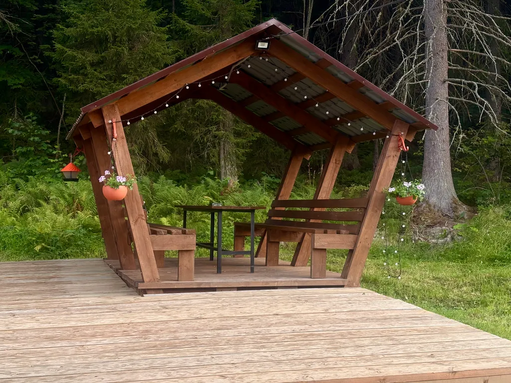 Дом с баней у леса