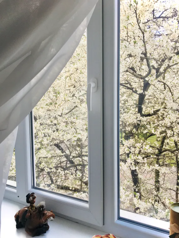 Квартира Квартира Сердце города — Калининград