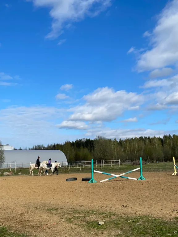 Квартира Уютная квартира рядом с конным клубом — Янино-1