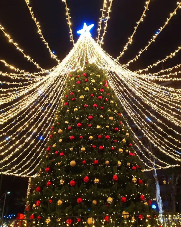 Квартира Квартира у моря в центре города — Зеленоградск