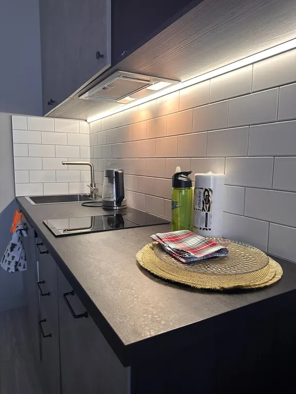 Студия на Новый Год в Курортном районе