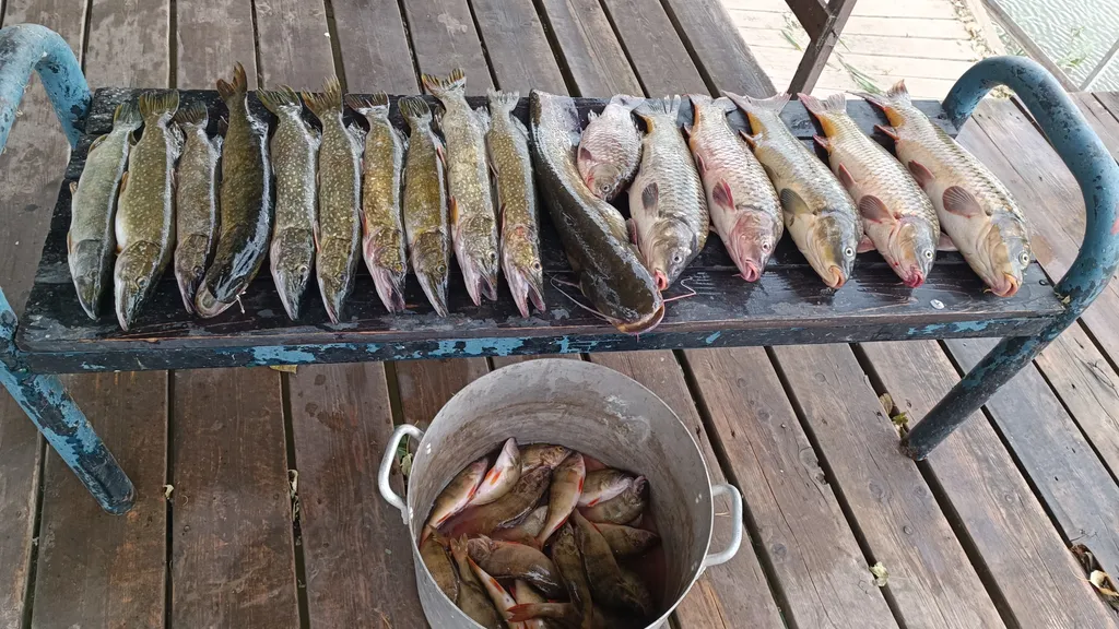 Уютный домик рыбака