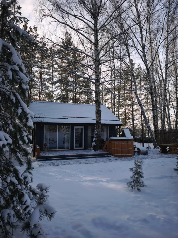 Коттедж Дом для семейного отдыха и романтических вечеров — аренда посуточно в Рязань