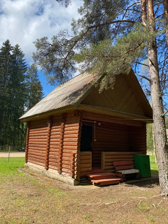 Дом в сосновом бору