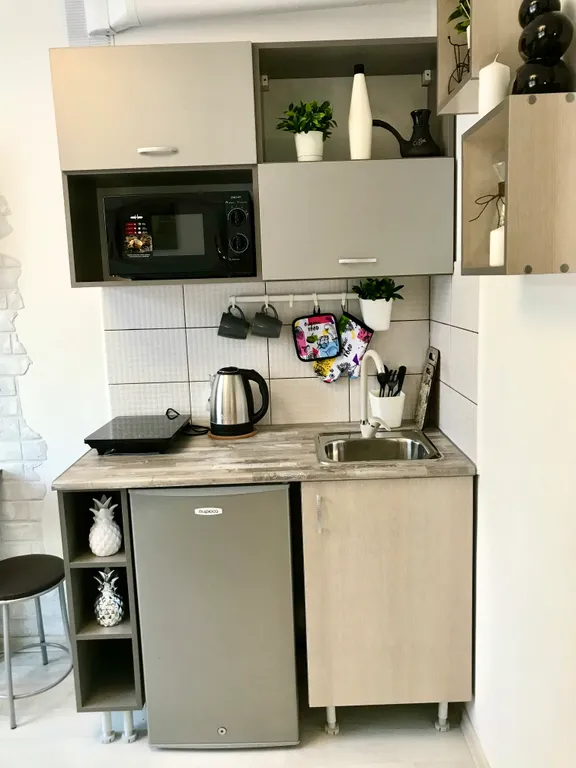 Уютная студия Бамбук на площади Маркса