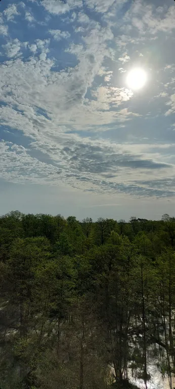 Лес и море рядом