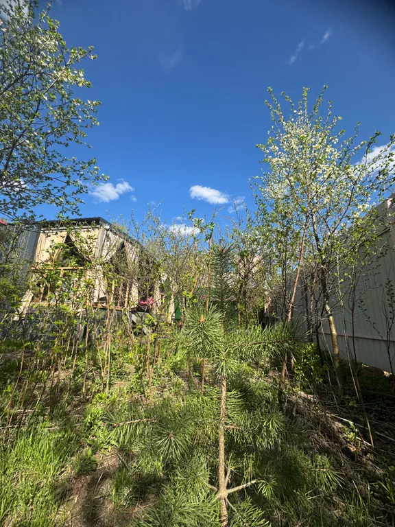 Домик с чаном в 10 минутах от Нижнего Новгорода