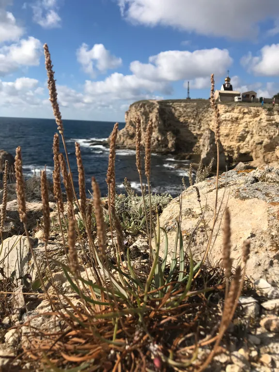 Трехместный номер, с двуспальной и односпальной кроватями