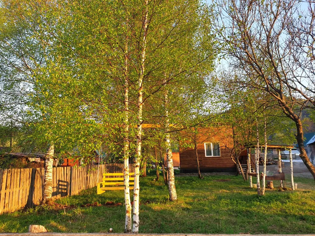 Отдых Телецкое