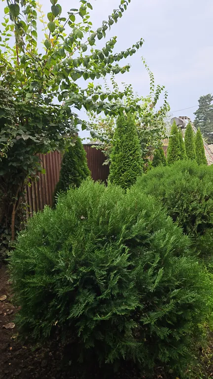 Гостевой Дом Азалия Комната Фламинго в жилом доме в 50 от моря