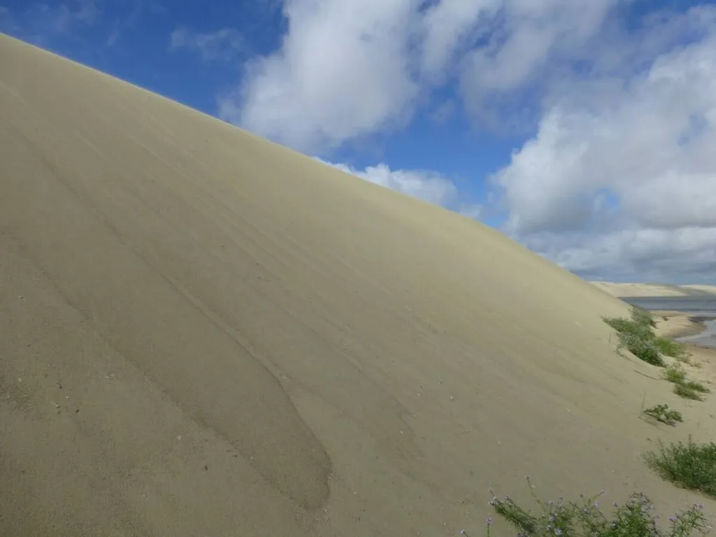 Уютный дом на Куршской Косе