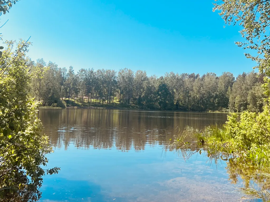 Новый комфортабельный дом для отдыха на берегу лесного озера
