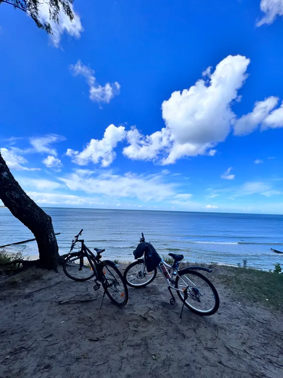 Квартира Квартира с камином и зоной барбекю — Светлогорск